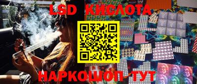 СК Сланцы