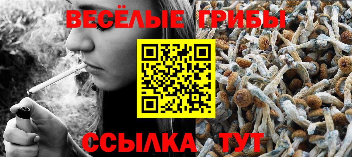 Новоуральск  Галлюциногенные грибы прущие грибы  как найти наркотики  Вход с VPN 